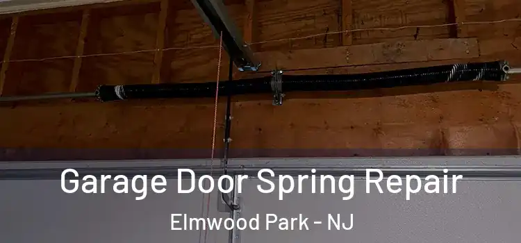  Garage Door Spring Repair Elmwood Park - NJ
